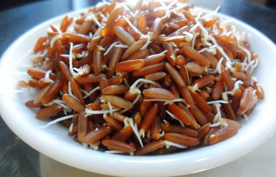 Gạo lứt mọc mầm dễ chế biến các món ăn và hương vị ngon hơn