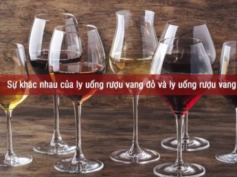 Sự khác nhau của ly uống rượu vang đỏ và ly uống rượu vang trắng